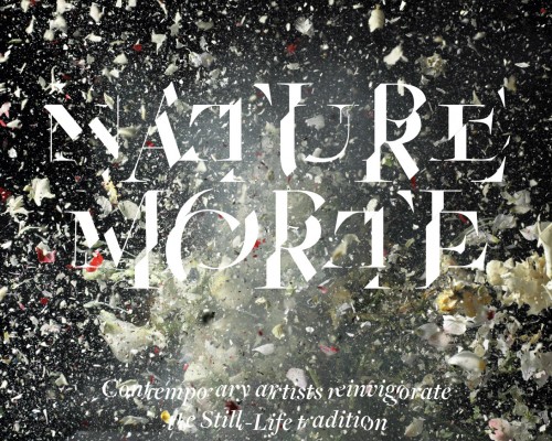 Nature Morte is published by Thames & Hudson (2013)